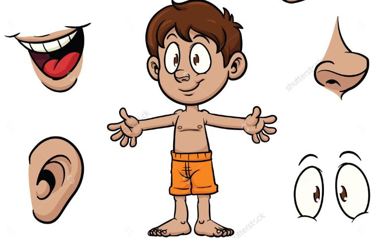 : یادگیری اعضای بدن از طریق پاورپوینت