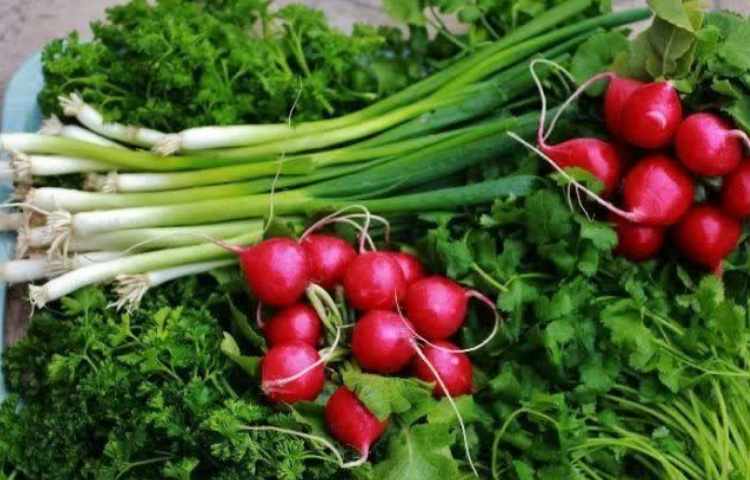 یهداشت: نقش سبزی در دفع مواد سمی بدن