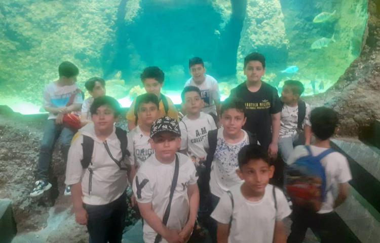 یک روز شاد در اقیانوس پارک 2