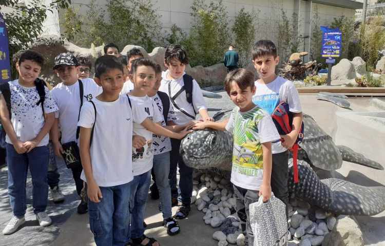 یک روز شاد در اقیانوس پارک