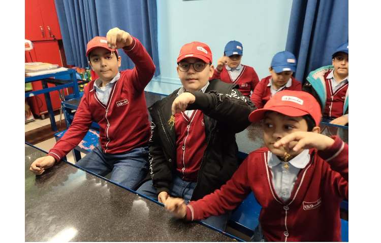 یک قسمتی و ریشه افشان-علوم 5