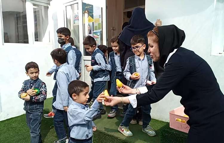 یک میان وعده سالم 1