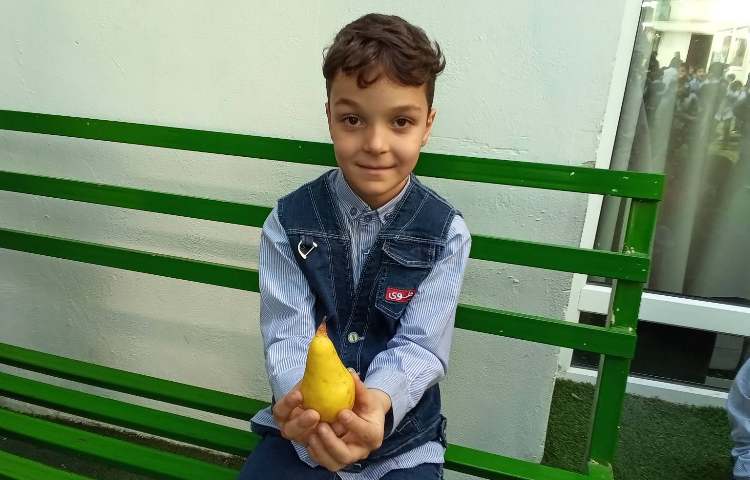 یک میان وعده سالم 2