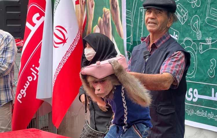 13 آبان ماه 6