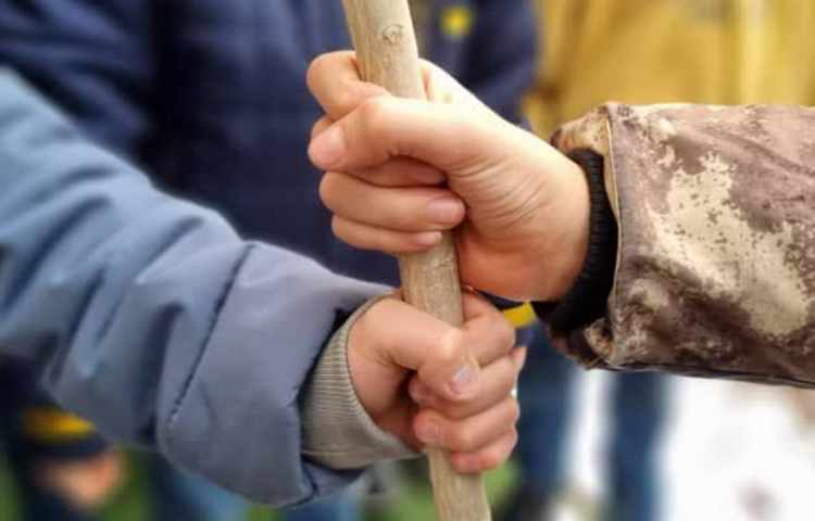 15 اسفند روز درختکاری 13