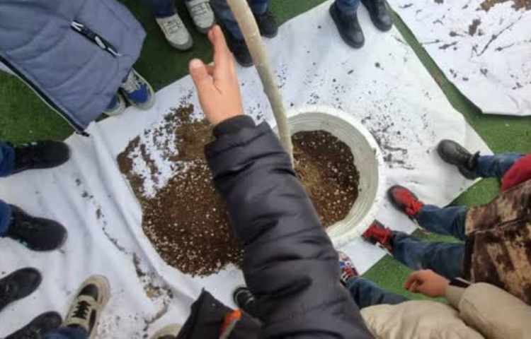 15 اسفند روز درختکاری 5