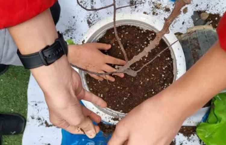 15 اسفند روز درختکاری 6