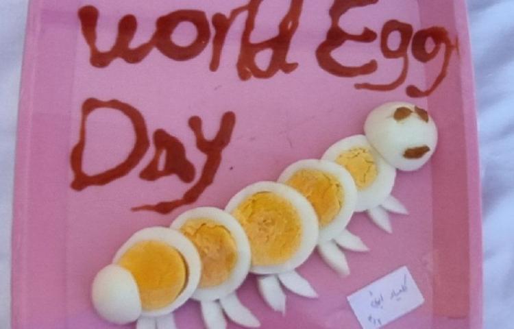 17 مهر ماه روز جهانی تخم مرغ 1