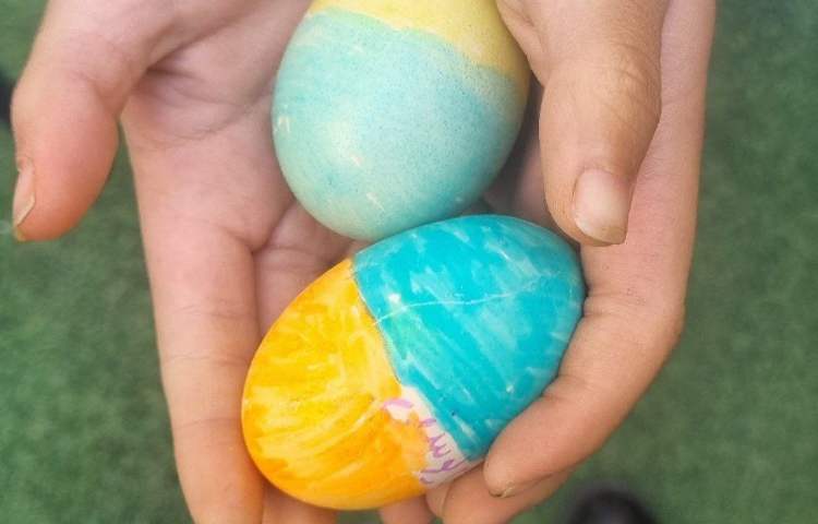 17 مهر ماه روز جهانی تخم مرغ 12