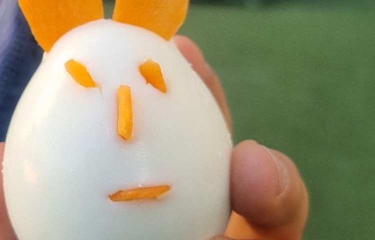 17 مهر ماه روز جهانی تخم مرغ 14