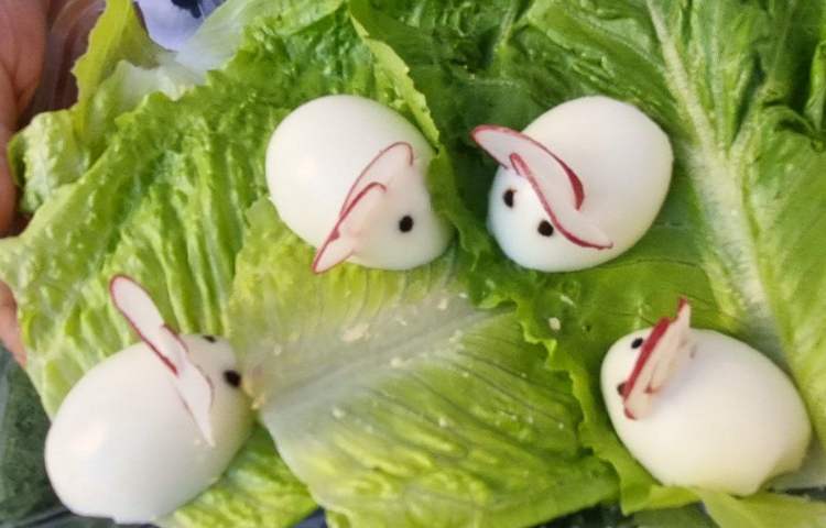 17 مهر ماه روز جهانی تخم مرغ 2