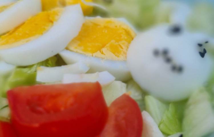 17 مهر ماه روز جهانی تخم مرغ 7