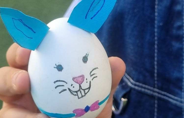 17 مهر ماه روز جهانی تخم مرغ 8