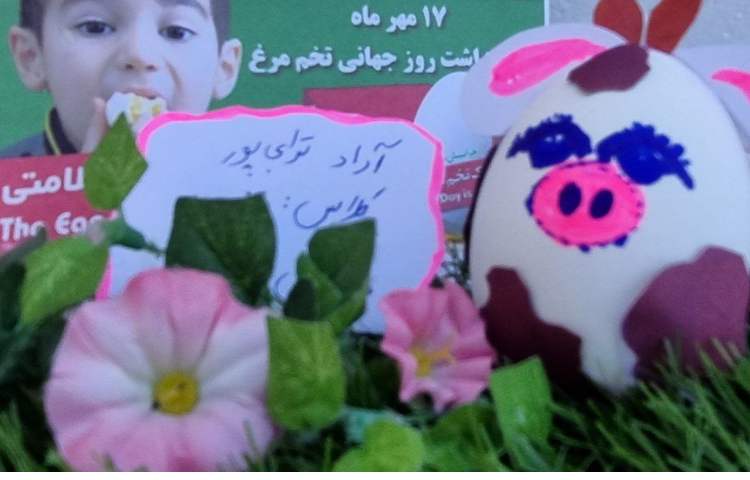 17 مهر ماه روز جهانی تخم مرغ 9