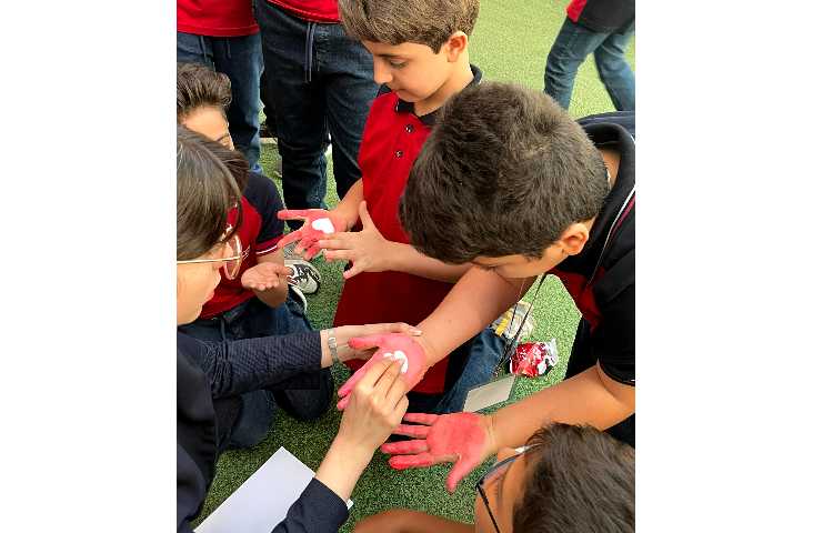 29 سپتامبر روز جهانی قلب 8