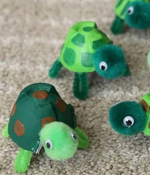 لاک‌پشت‌های کوچک تخم‌مرغی